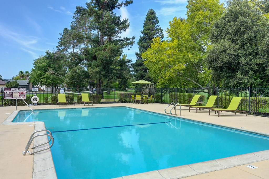 A large swimming pool surrounded by trees and lounge chairs.