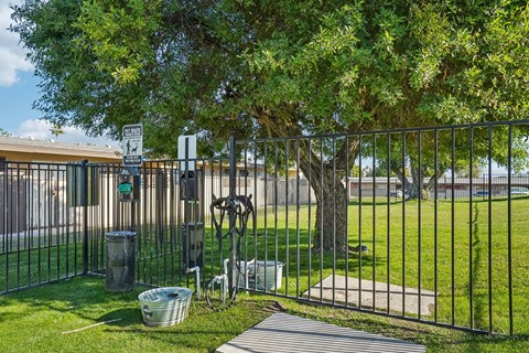 A metal fence with a gate is in front of a tree and a trash can.