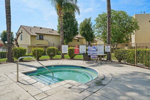 A small pool surrounded by a fence and palm trees.