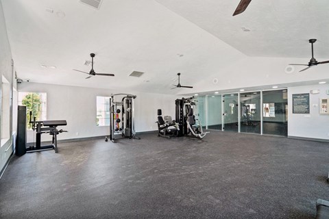 the gym at the house