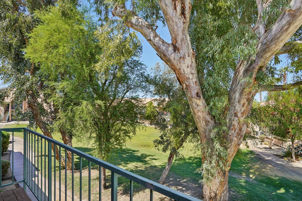 a view of a park with trees and a fence