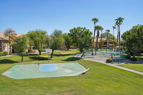 A basketball court is surrounded by palm trees and a pool.