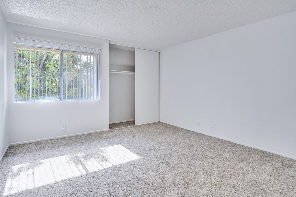 A sunny room with a carpeted floor and a window.
