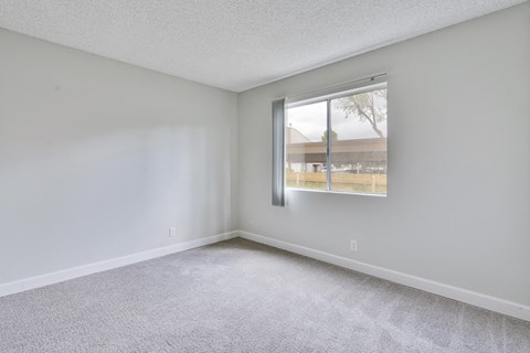 A room with a carpeted floor and a window showing a parking lot outside.