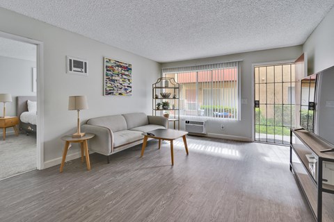 A living room with a grey couch, a lamp, a painting, and a television.