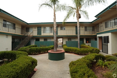 A courtyard with a palm tree and bushes.