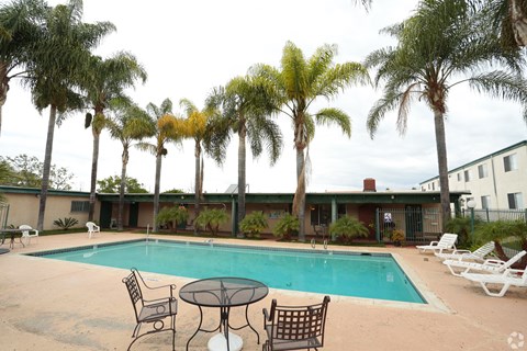 A pool surrounded by palm trees and chairs.