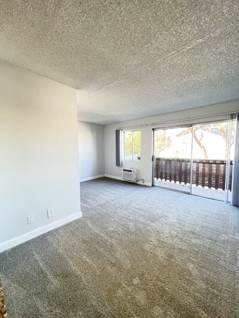 A room with a carpeted floor and a sliding glass door leading to a balcony.