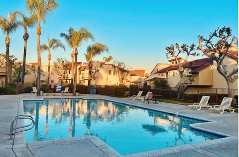 a swimming pool with palm trees and houses in the background