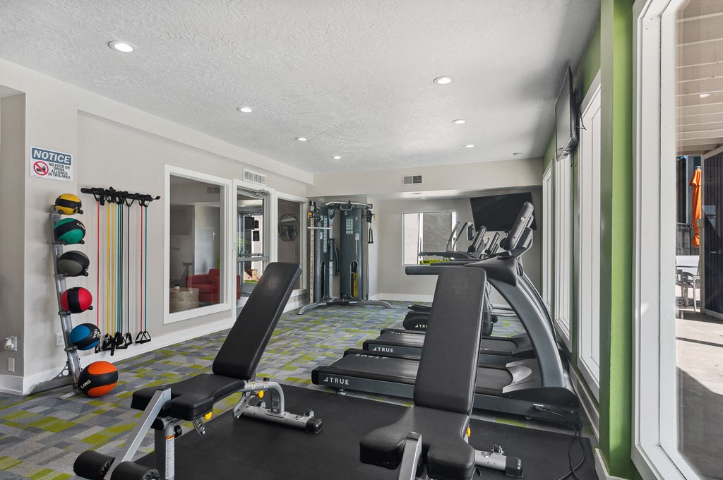 a gym with treadmills and dumbbells in a room with a window