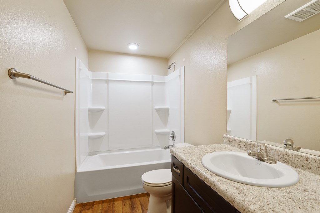 a bathroom with a sink and a toilet and a shower