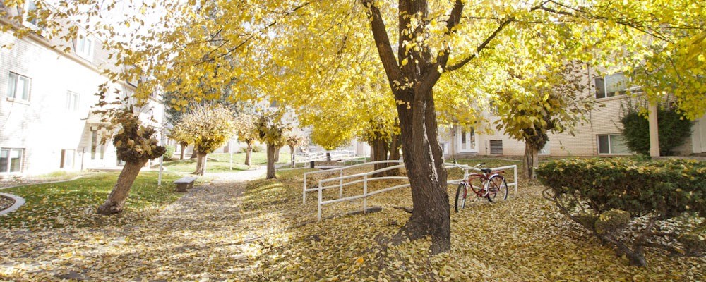 fall exterior