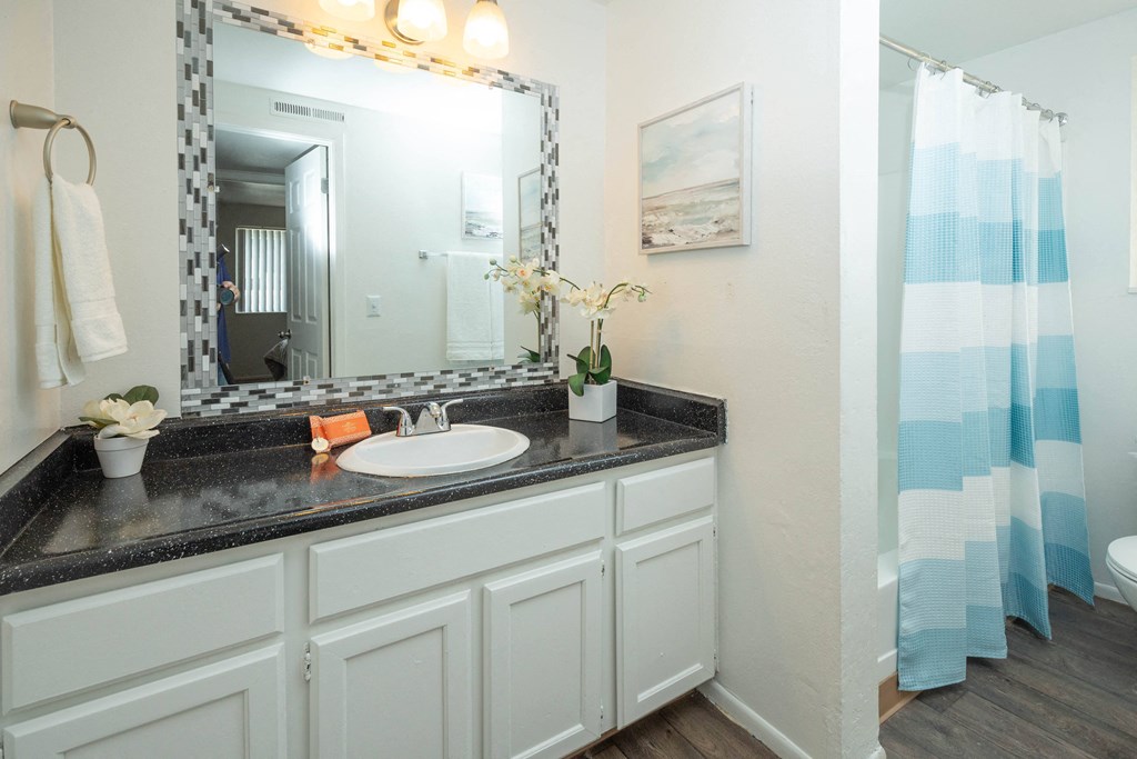 a bathroom with a sink and a mirror and a shower