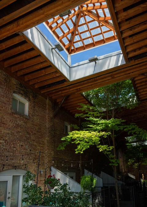 exterior and sun roof