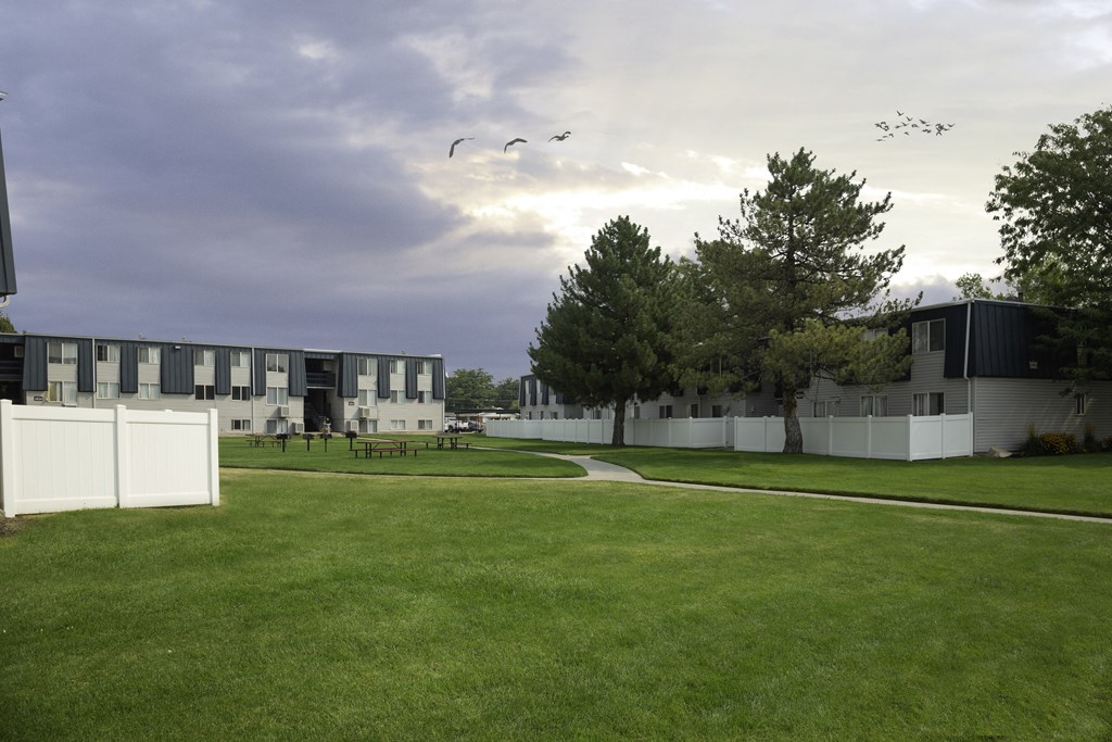 a flock of birds flying over an open field in front of a row of apartments