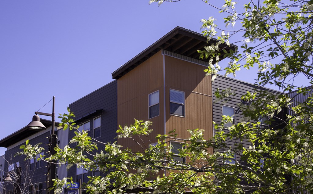 the side of a building with a tree in front of it