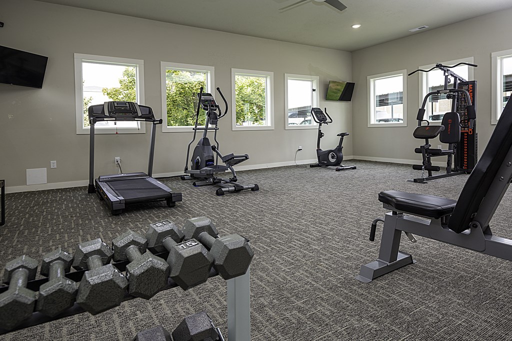 A well-equipped home gym with various exercise machines and dumbbells.