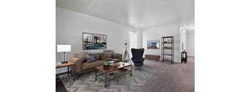 A living room with a brown couch, a black chair, and a grey rug.