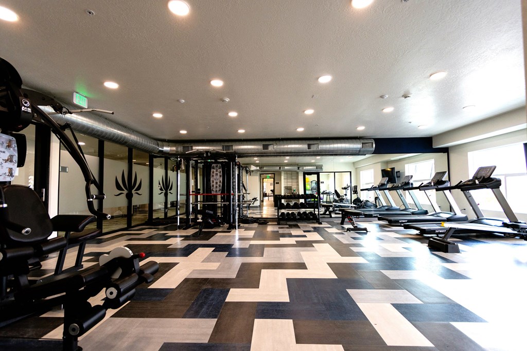 a gym with cardio machines and weights on a checkered floor