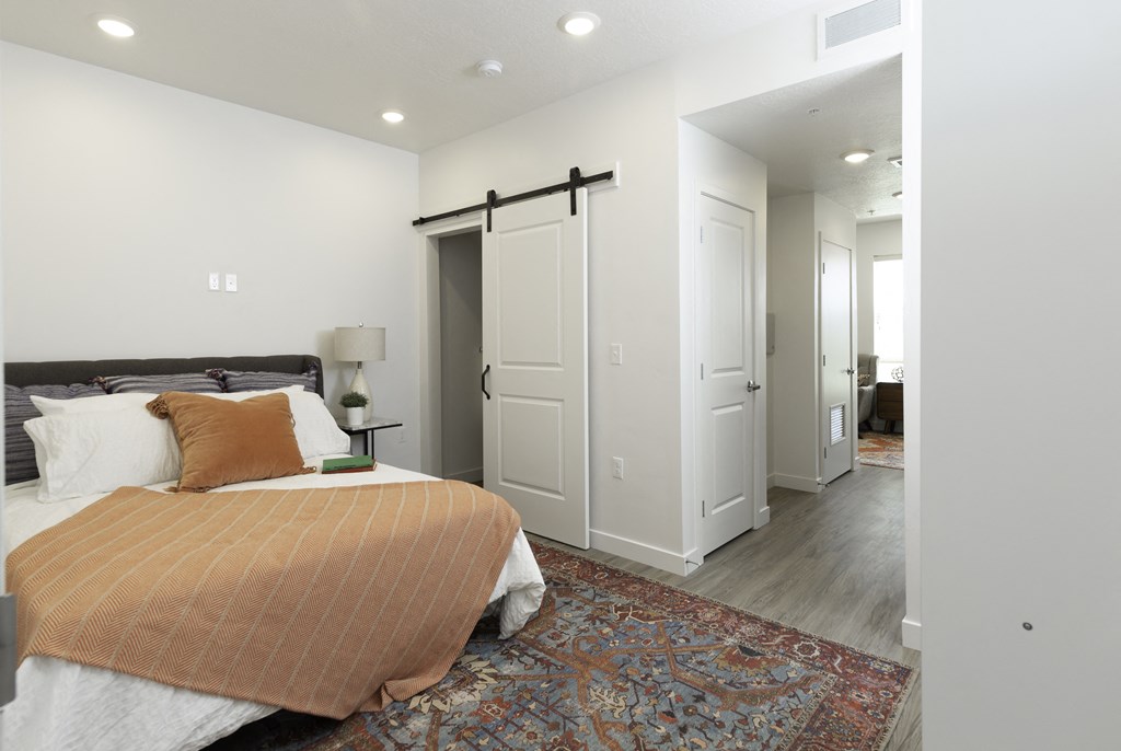 a bedroom with a bed and a closet