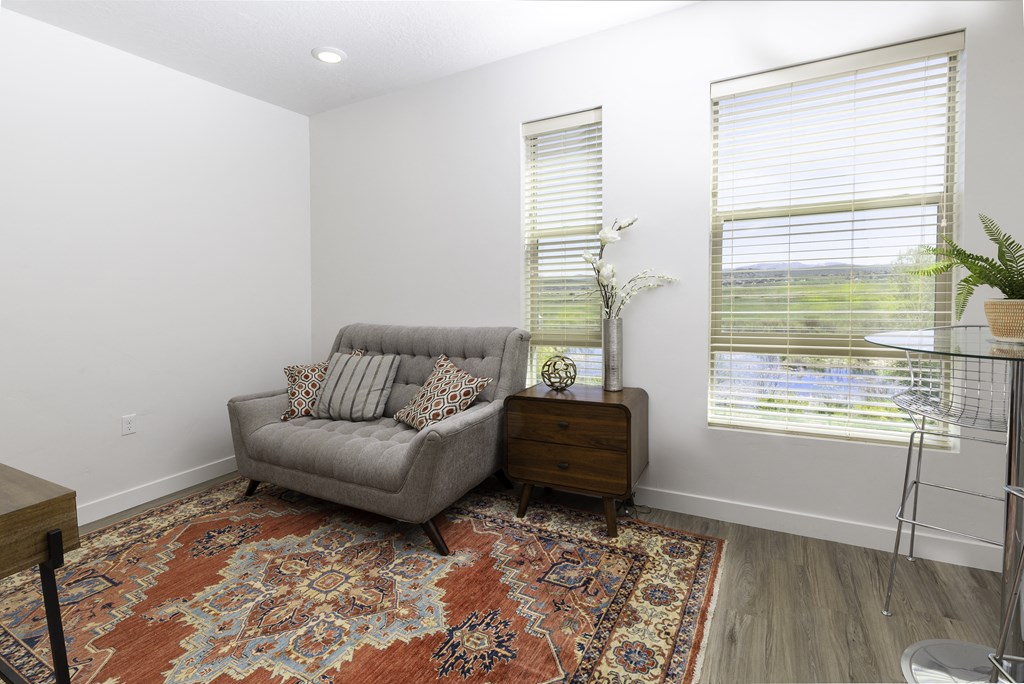 a living room with a couch and a rug and two windows