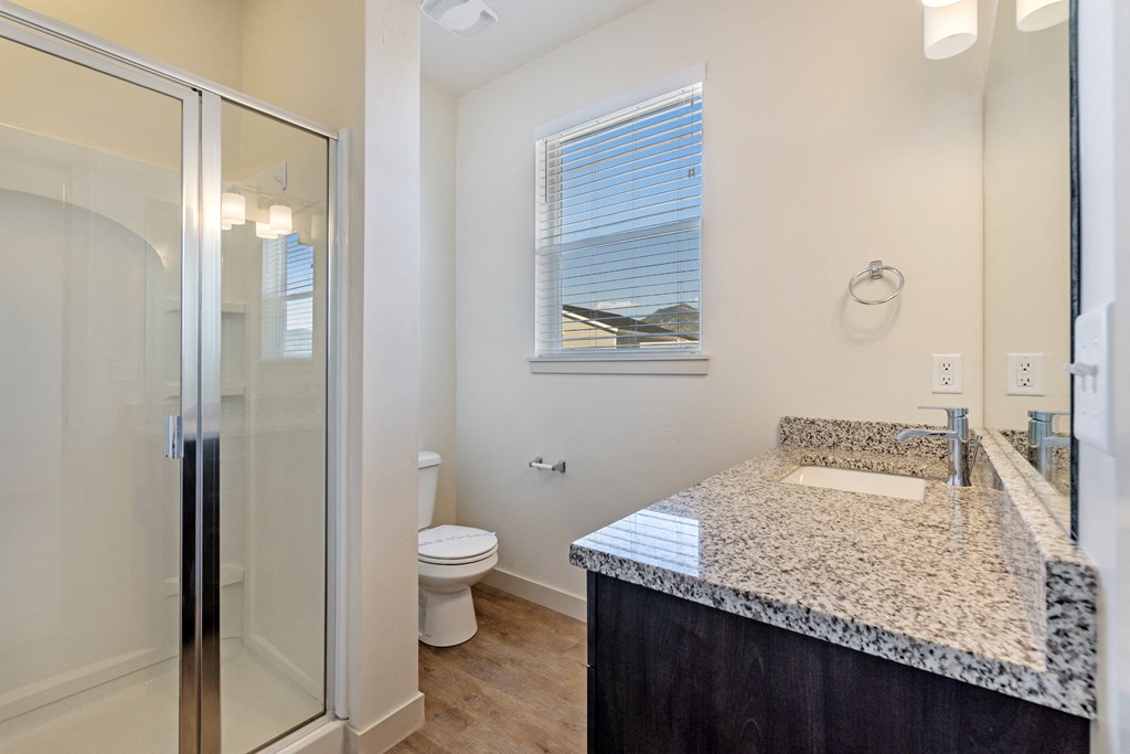 a bathroom with a sink and a shower and a toilet