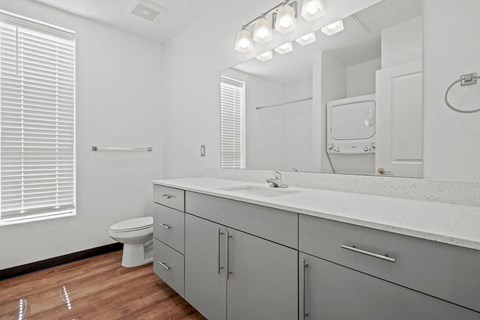 a bathroom with a sink and a toilet and a mirror