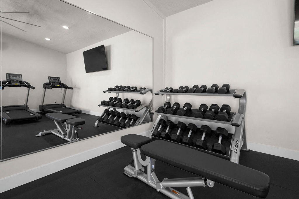 the gym has a wall of dumbbells and a mirror