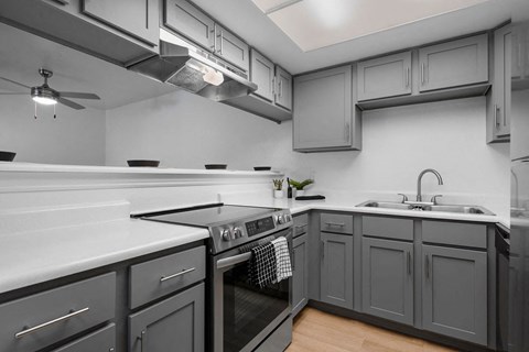 a kitchen with gray cabinets and a stove and a sink