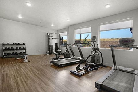 the gym in the home is pictured
