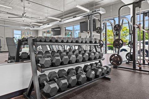 A gym with a rack of black dumbbells.