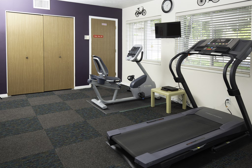 A gym with treadmills and exercise equipment.