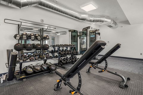 A gym with a row of treadmills and a rack of dumbbells.