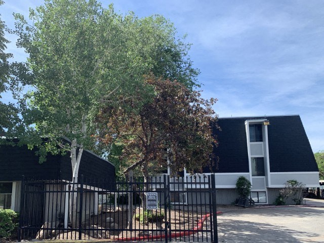 a building with a fence and a tree in front of it