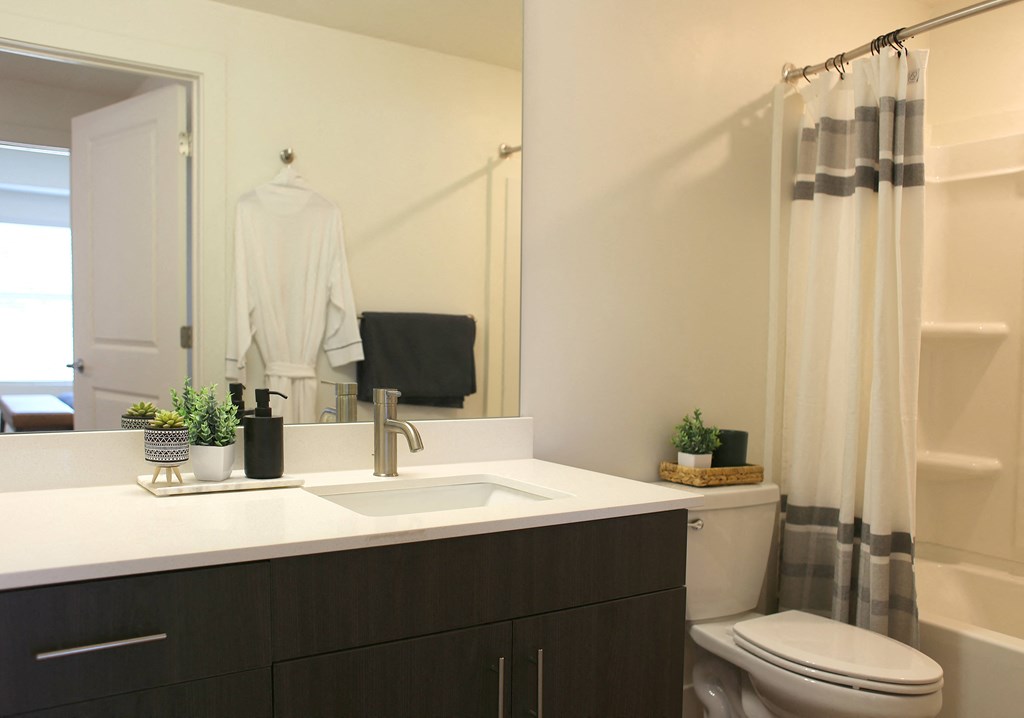 a bathroom with a sink and a toilet and a shower