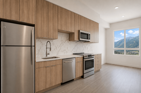 1753 Ozzy Way Studio-2 Beds Apartment for Rent