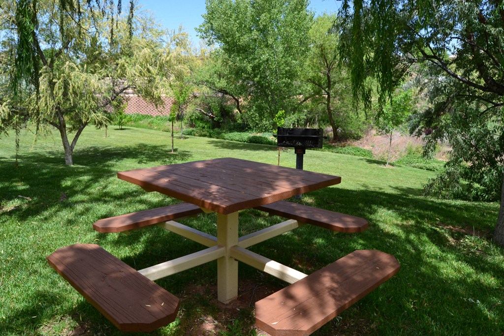 a picnic table in a park with a grill