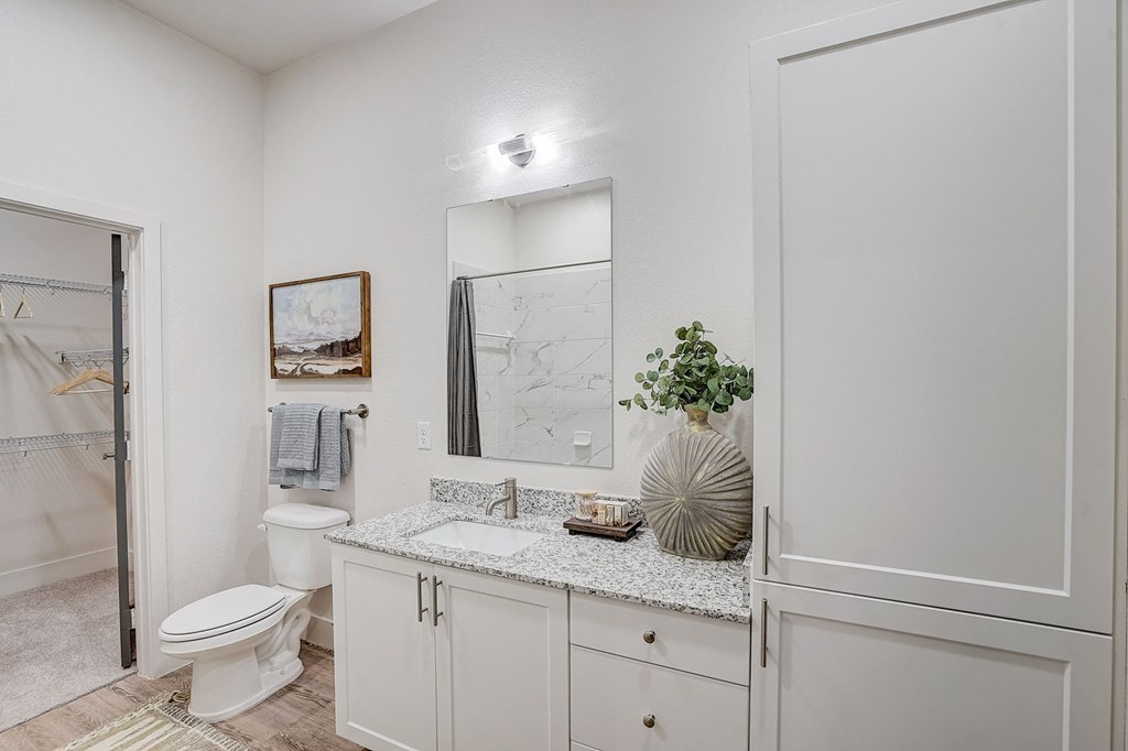 a bathroom with a sink and a toilet and a shower
