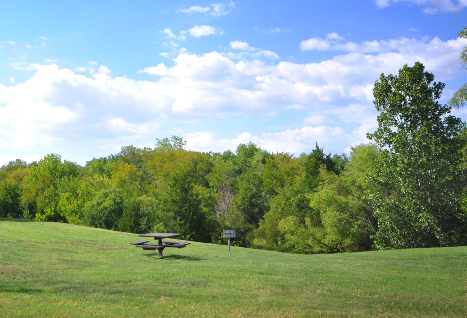 Nature Preserve View at Stoneleigh on Cartwright Apartments, J Street Property Services, Texas, 75180