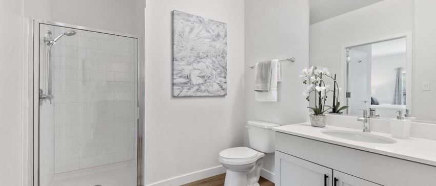 Bathroom with modern fixtures at Panton Mill Station Apartments,J Street Property Services, LLC, South Elgin, Illinois - Photo Gallery 1