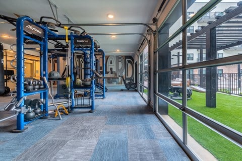 A gym with blue weights and grey carpet.