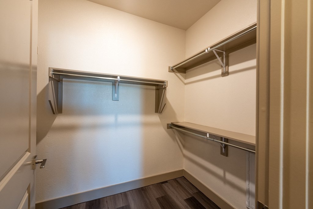 a walk in closet in a 555 waverly unit at One Preston Station, Celina, TX, 75009