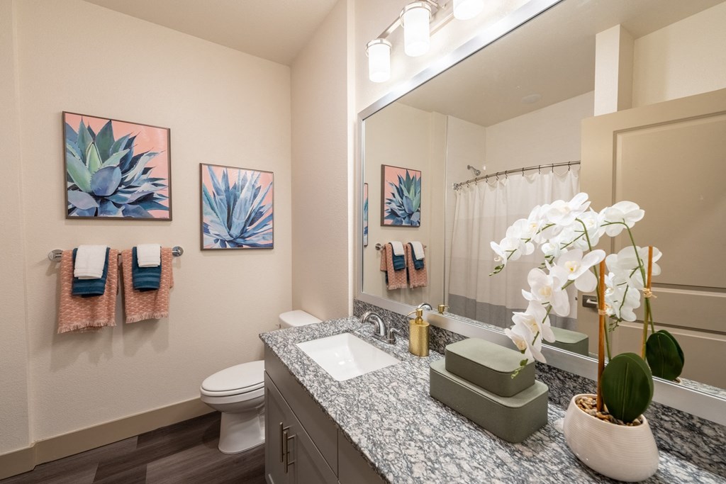 the heights on capitol hill apartments bathroom with granite countertops  at One Preston Station, Celina, Texas