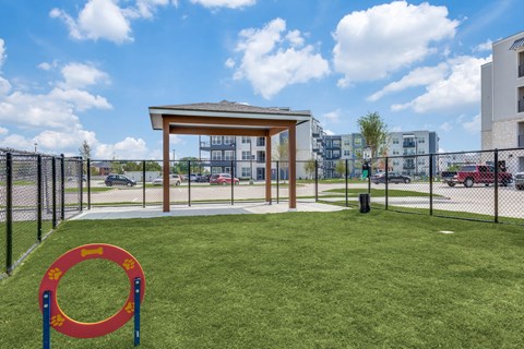 A playground with a red and blue ring on the grass.