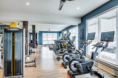 A gym with a row of stationary bikes and a treadmill.