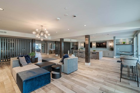 A modern living room with a dark blue velvet sofa and wooden flooring.