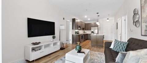 SophisticatedLiving room with tv and sofas at Panton Mill Station Apartments,J Street Property Services, LLC, South Elgin, 60177