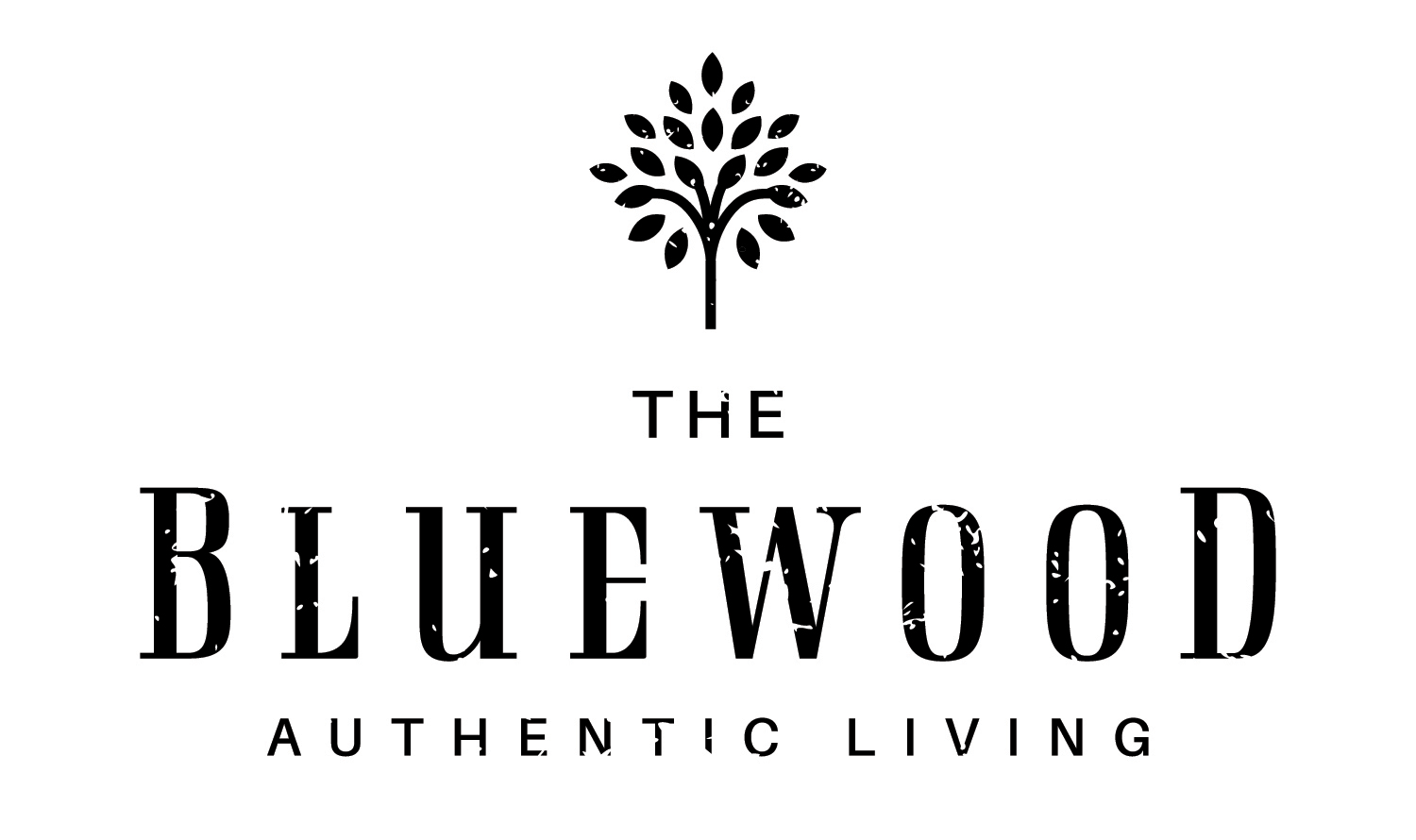Property Logo at The Bluewood Apartments, Kerrville, TX 78028