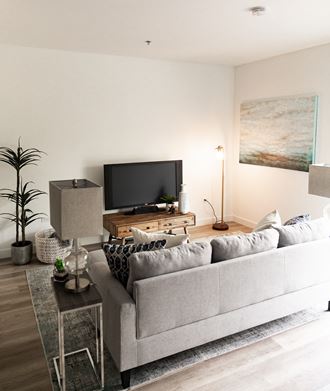 Modern Living Room at Winfield Station Apartments, J Street Property Services, Winfield, Illinois