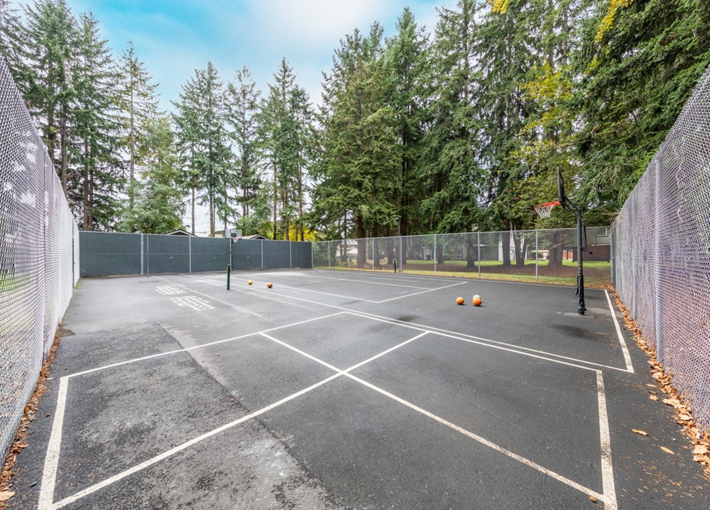 Our Sport Court at Wilderness West Apartments in Olympia, Washington